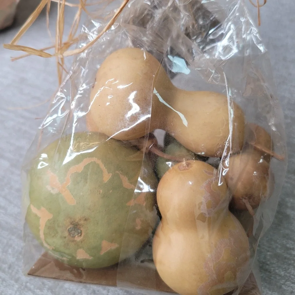 Pottery Barn Real Dried Gourds Made USA Grown in California Fall Bowl Filler NIP